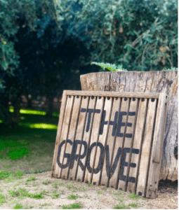 Olive View Ranch Tour Ticket - Saturday March 4, 2023-0