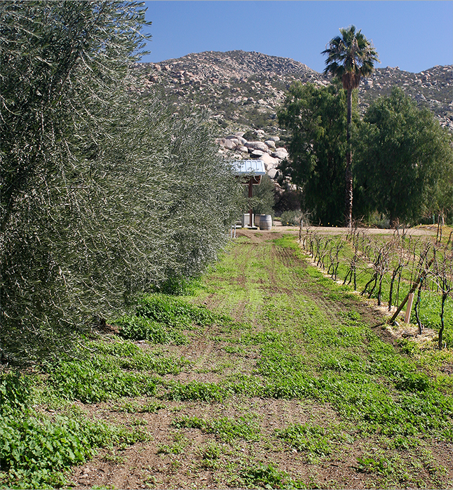 ranch cropped