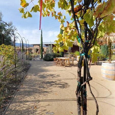 Tasting Room Olive View Ranch Olive Oil Tasting Room Olive View Ranch