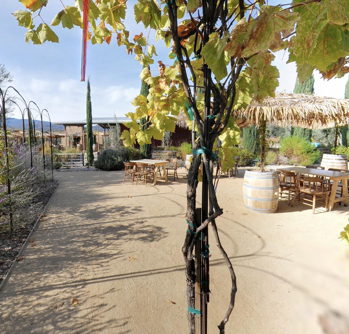 Olive View Ranch