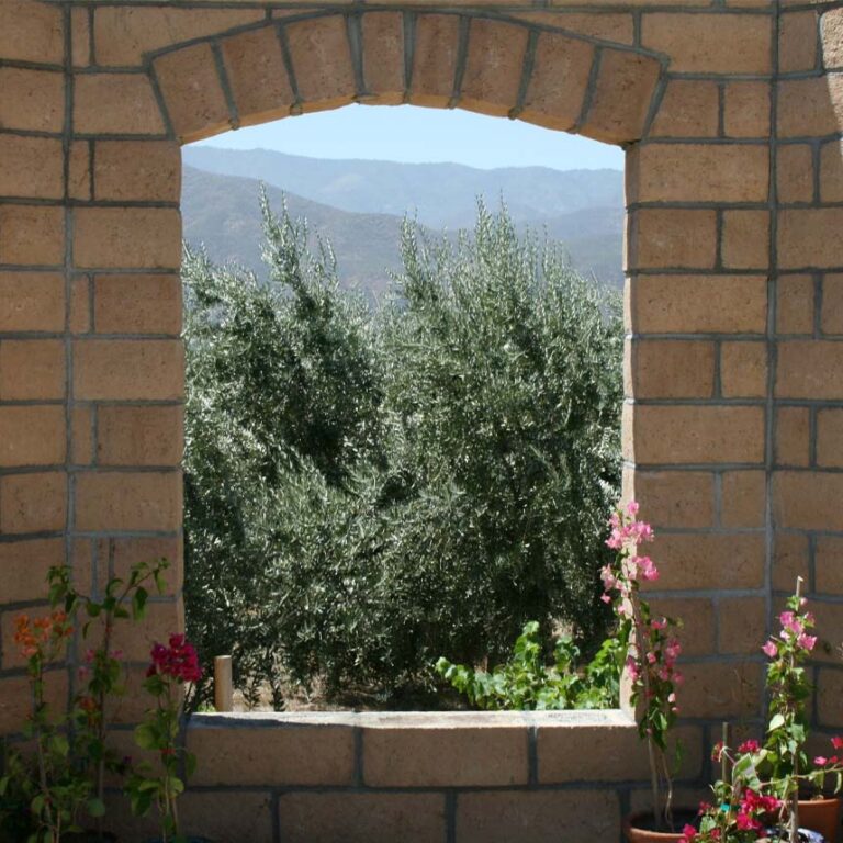 Olive View Ranch