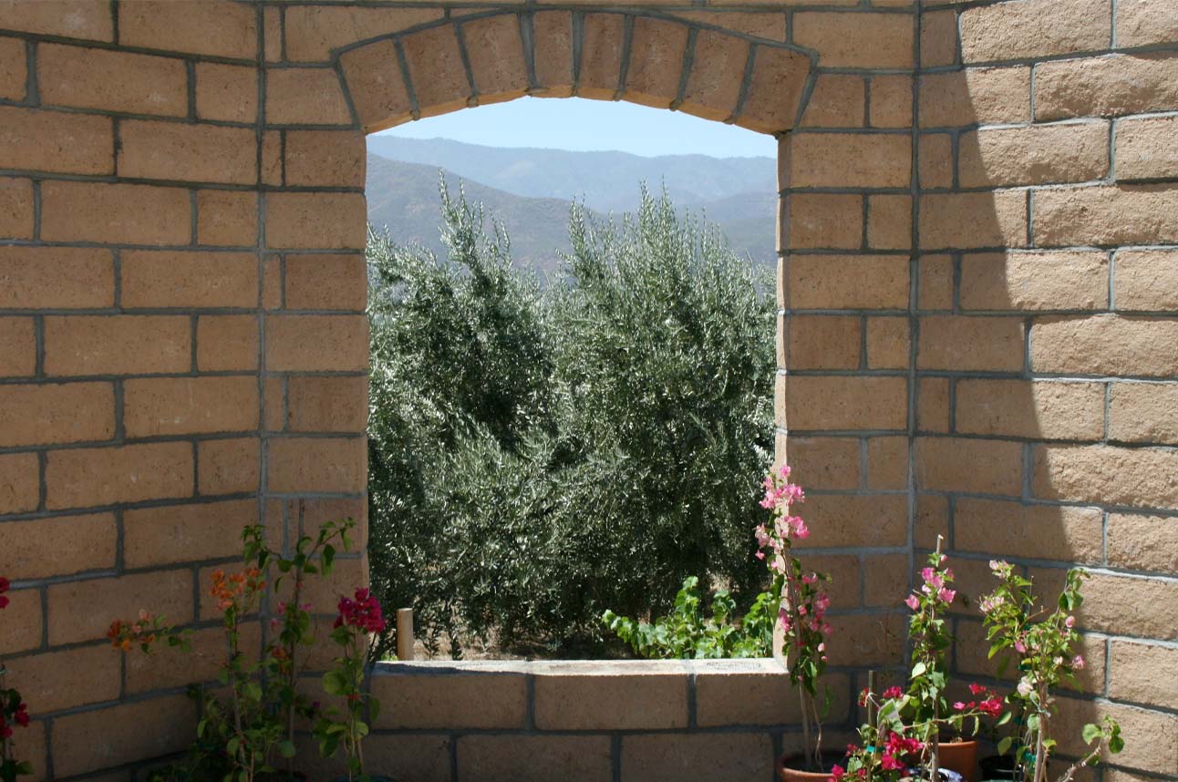 Olive View Ranch