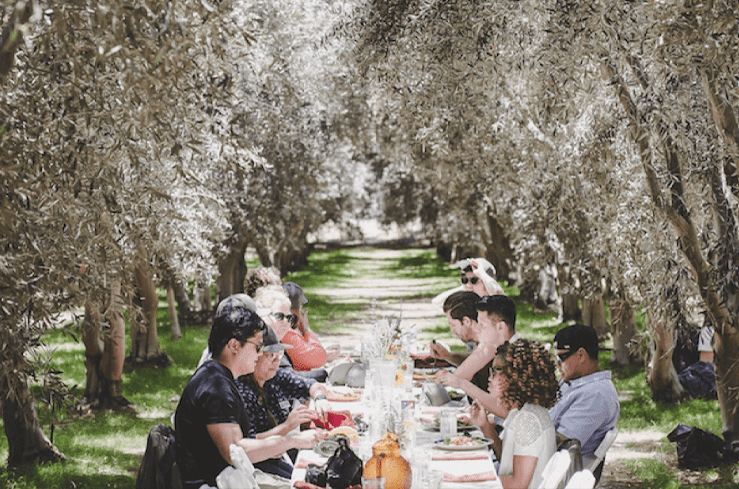Events at Olive View Ranch
