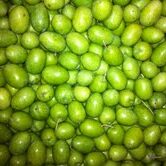 Water Cured Olives Water Cured Olives Recipe