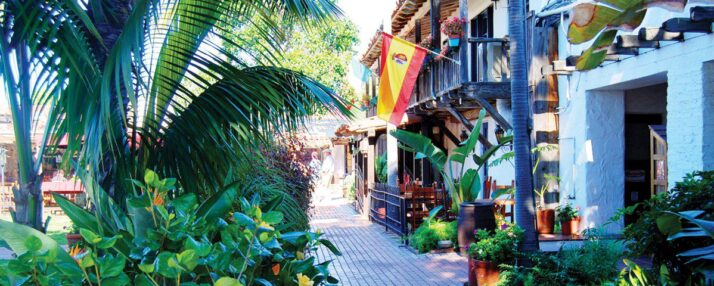 tooc san diego shop 1