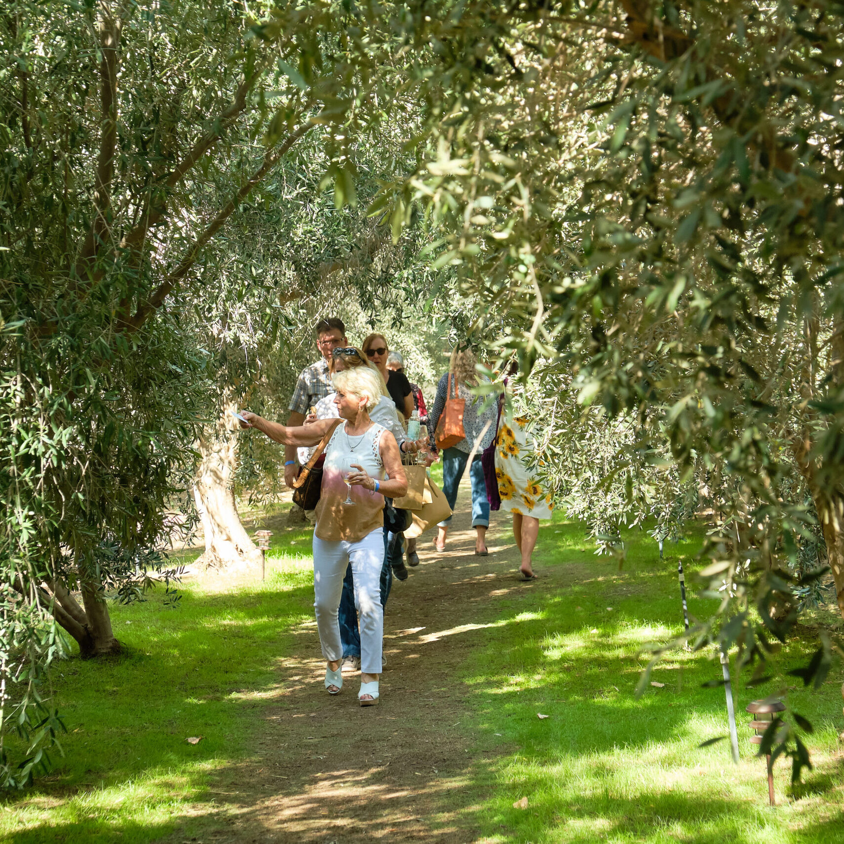 Olive Ranch Tour