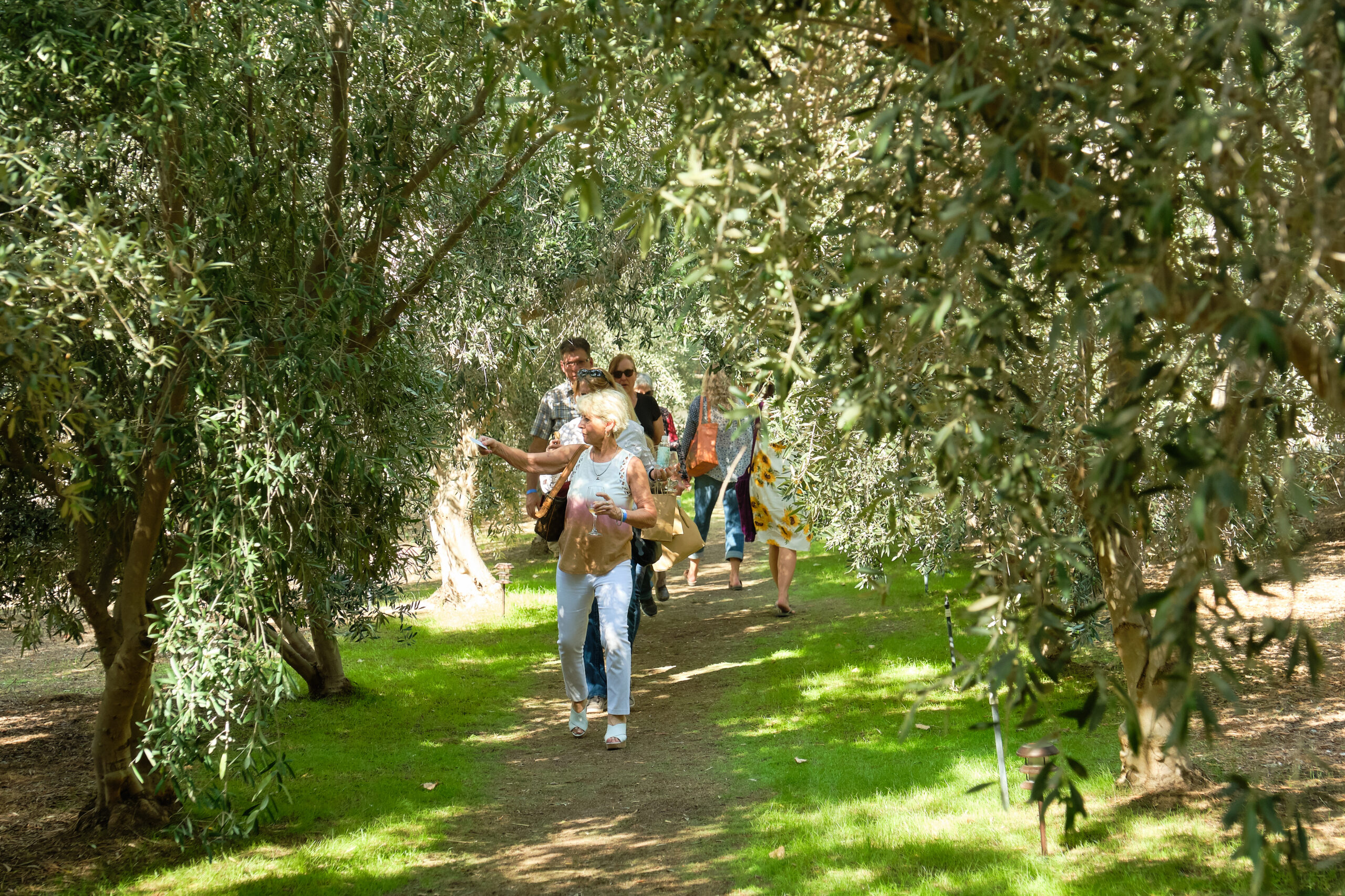 Olive Ranch Tour