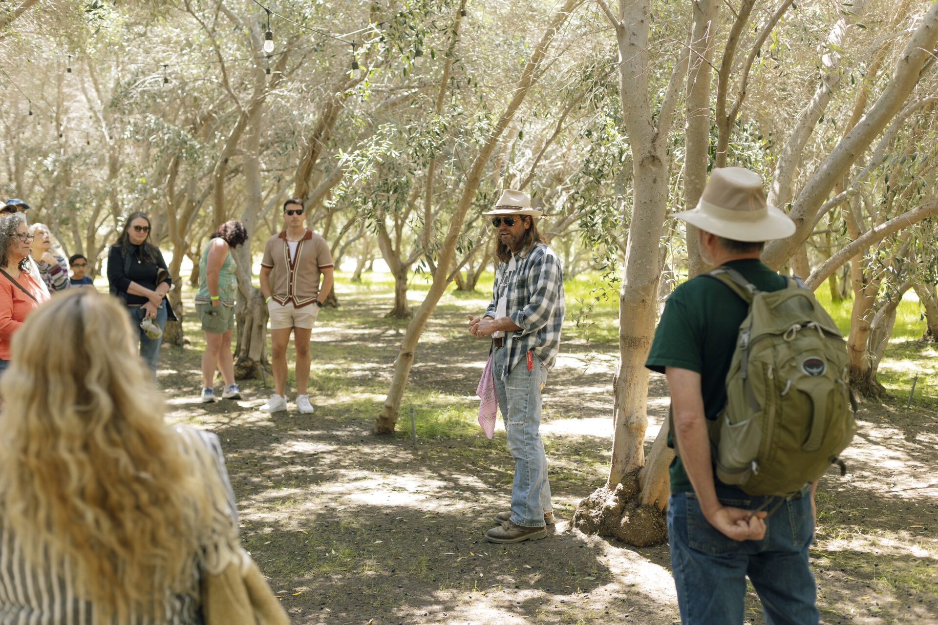 Guided Tours at OVR