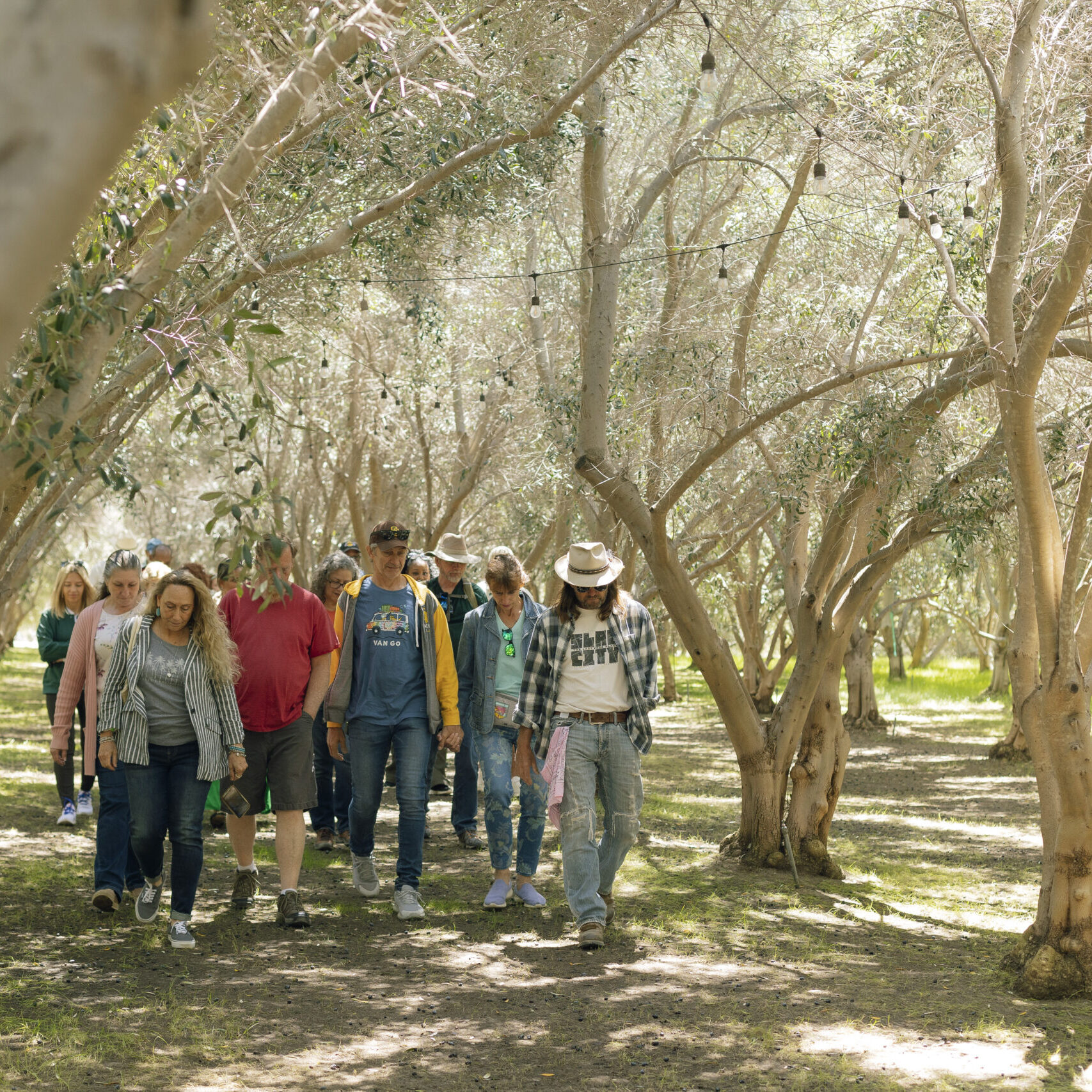 Guided OVR Tour
