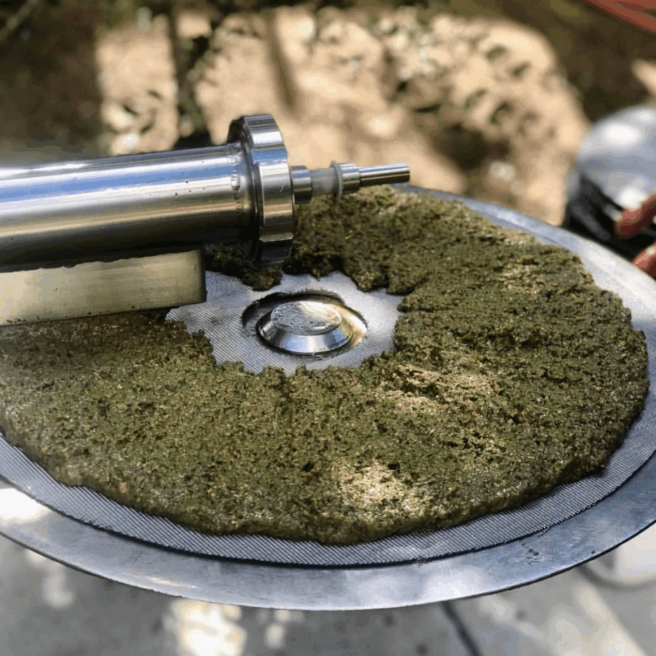 early harvest olive press