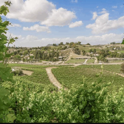temecula valley